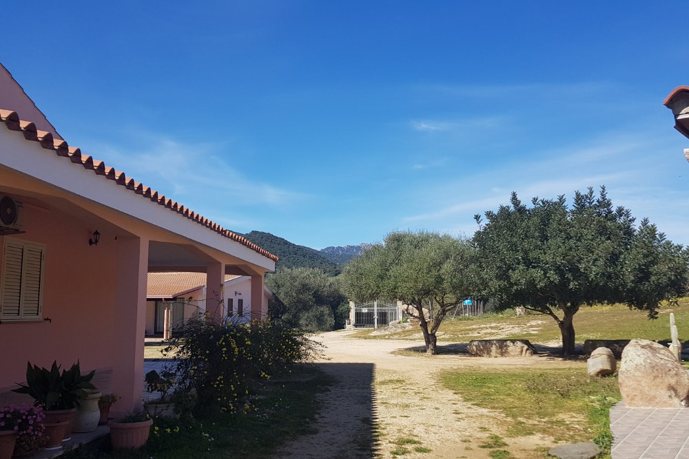 L'edificio principale dell'agriturismo a Castiadas fra gli ulivi